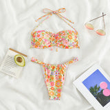 Cross border New Swimwear Drawstring European and American Sexy Split Bikini Women's Swimwear Bikini [OEM]