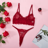 Autumn New Lace Mesh Perspective Funny Underwear Set Women 17534